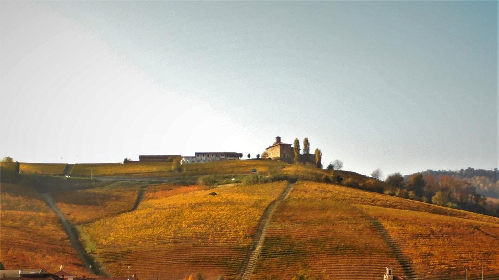 Agriturismo La Terrazza Sul Bosco Villa Barolo Dış mekan fotoğraf